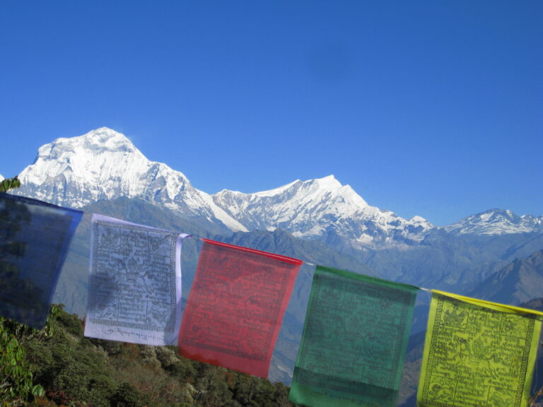 Tibetan flags with Dhaulagiri Mountains